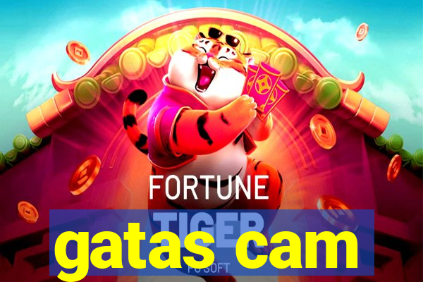 gatas cam